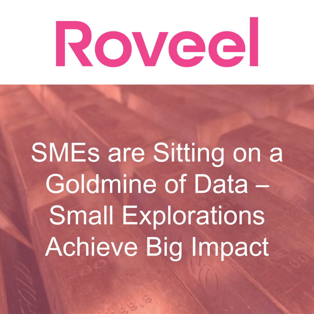 smes-data-explorations