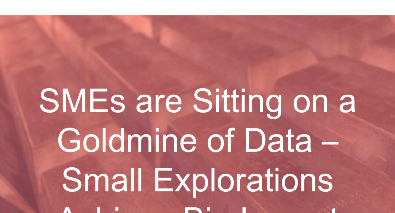 smes-data-explorations