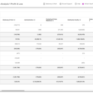 Roveel Transaction Group Analysis Profit & Loss Dashboard & Report